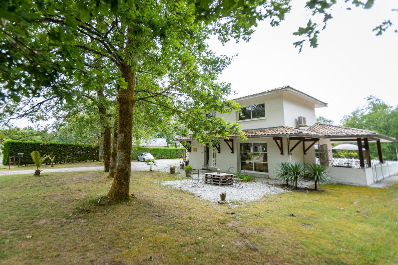La Villa Minvia Les Landes Entre Mer Et Montagne Saint-Vincent-de-Paul  Buitenkant foto