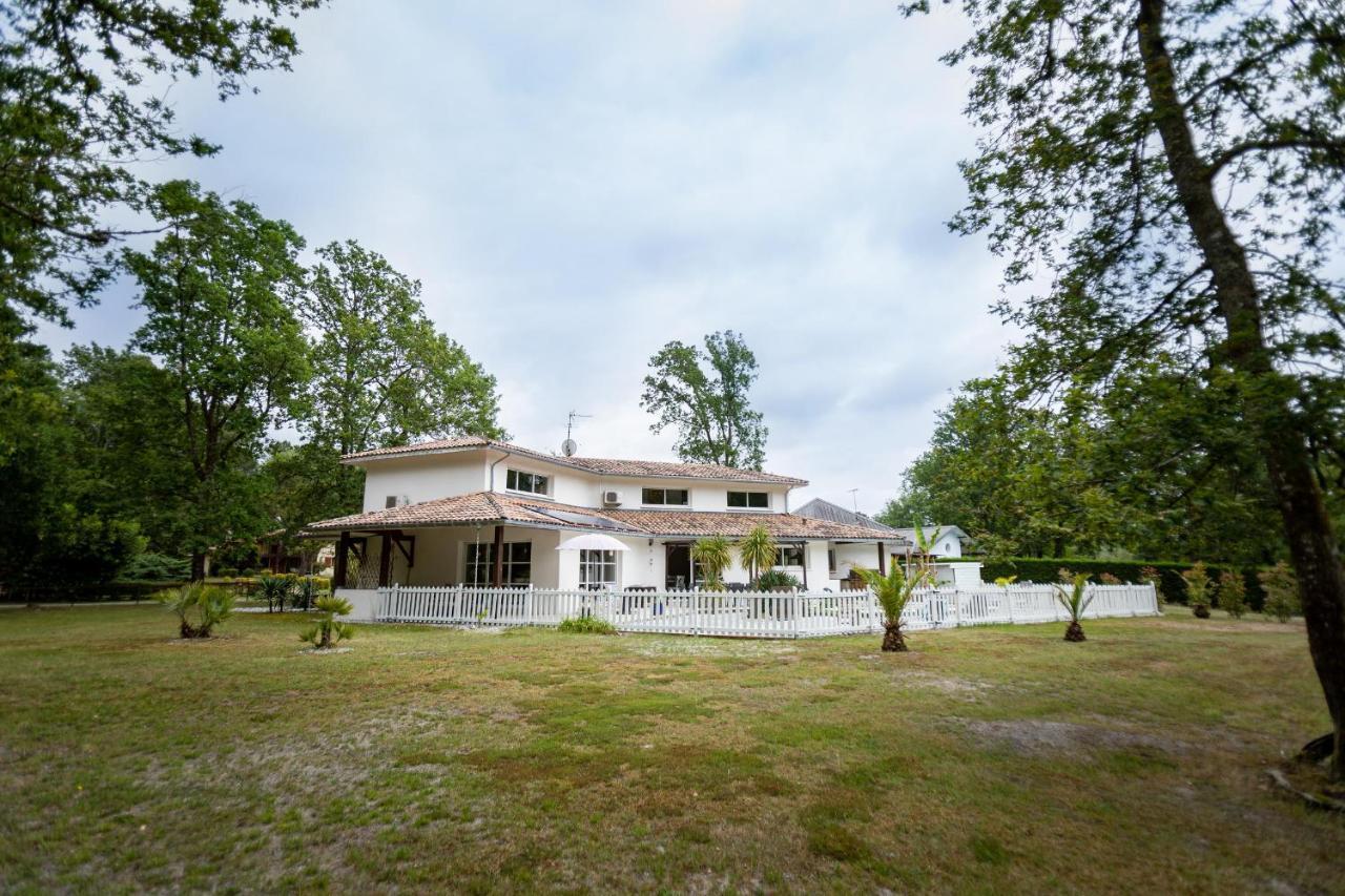 La Villa Minvia Les Landes Entre Mer Et Montagne Saint-Vincent-de-Paul  Buitenkant foto