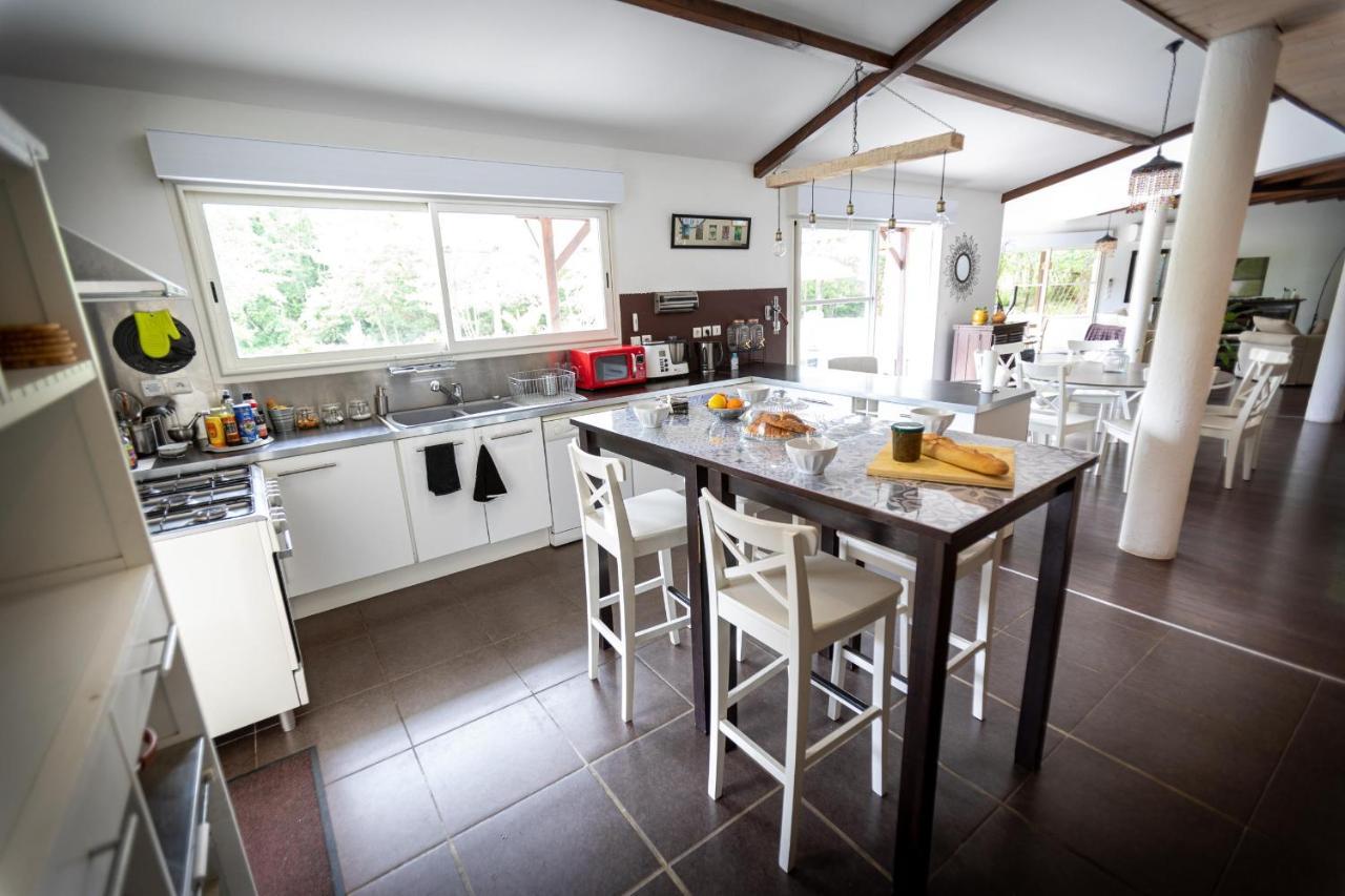 La Villa Minvia Les Landes Entre Mer Et Montagne Saint-Vincent-de-Paul  Buitenkant foto